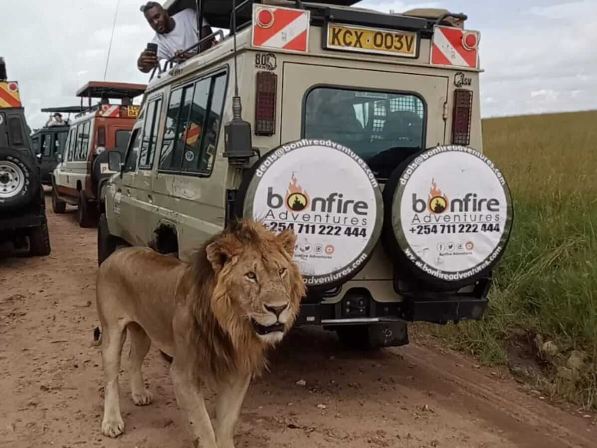 Bonfire Adventures Top 10 Tour Companies in Kenya