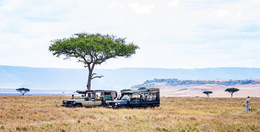 Top 10 Tour Companies in Kenya